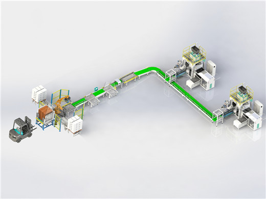 fully_automatic_rice_packing_machine (3)