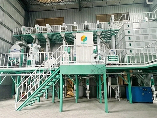 rice mill machine (3)