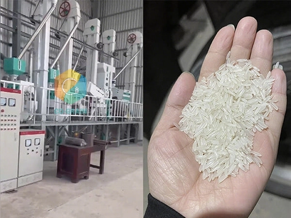 rice_mill_in_cambodia (5)