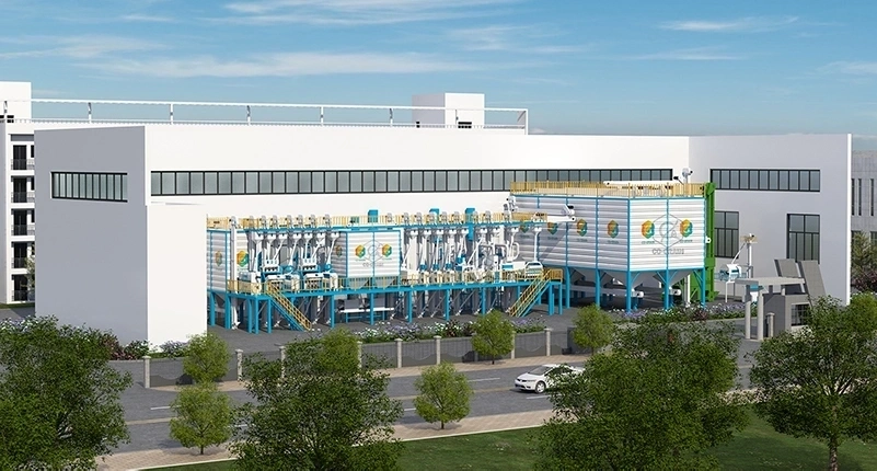 turnkey_40T_complete_rice_processing_plant_solution 7