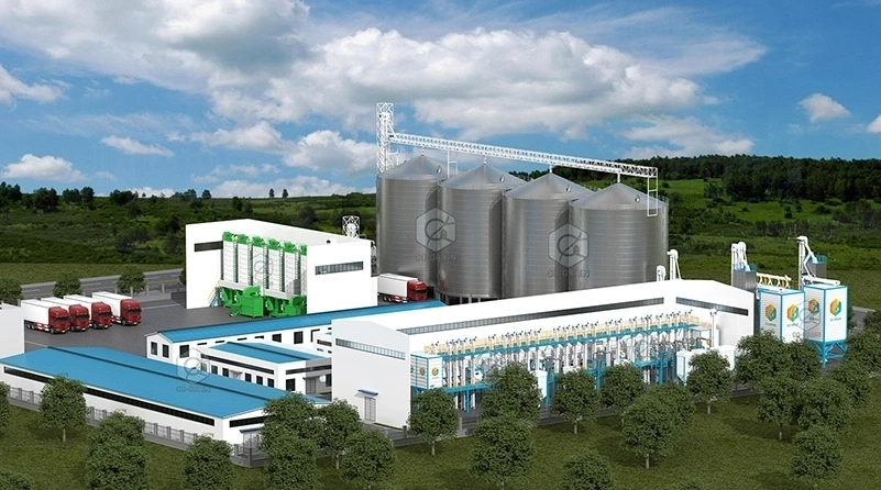 100ton_per_batch_parboiling_rice_mill_with_200ton_per_day_rice_mill_plant 3