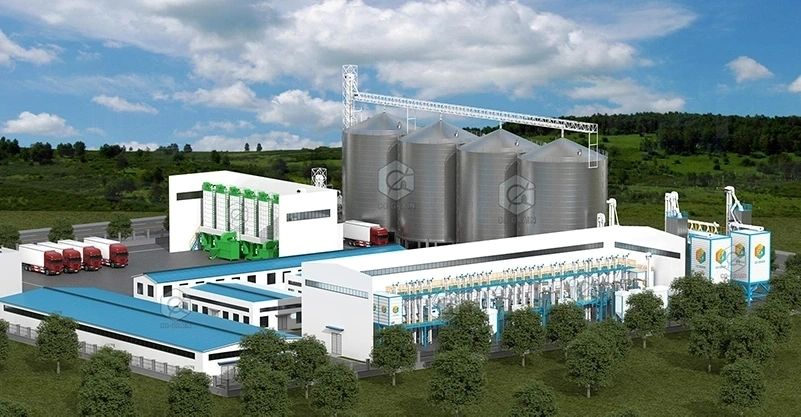100ton_per_batch_parboiling_rice_mill_with_200ton_per_day_rice_mill_plant 4