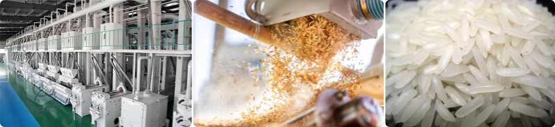 rice_mill_plant_solution 2