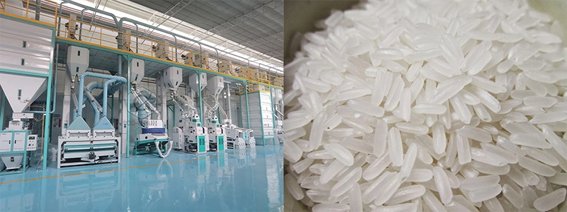 start_rice_mill_plant 5