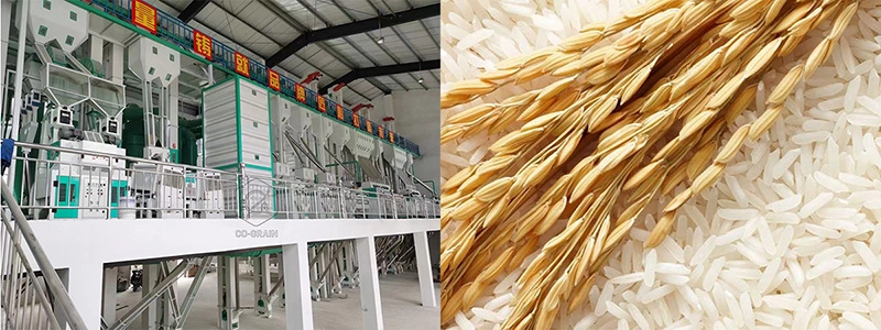 start_rice_mill_plant