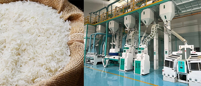 rice_mill_plant 2
