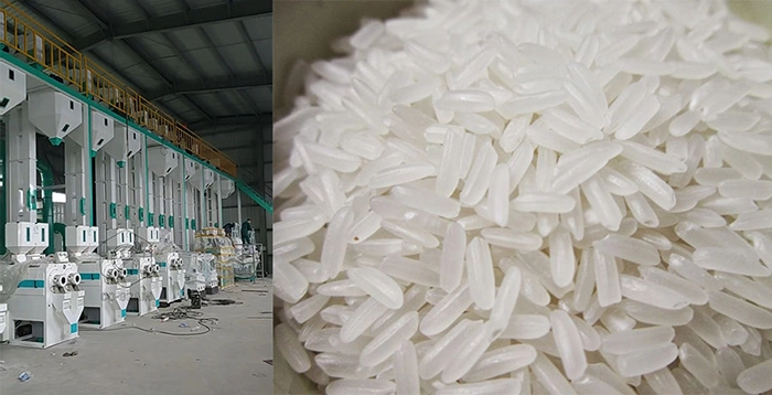 rice_mill_plant 4